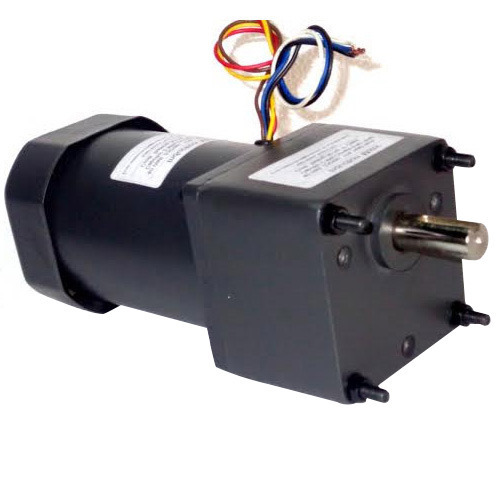 FHP Induction Motor