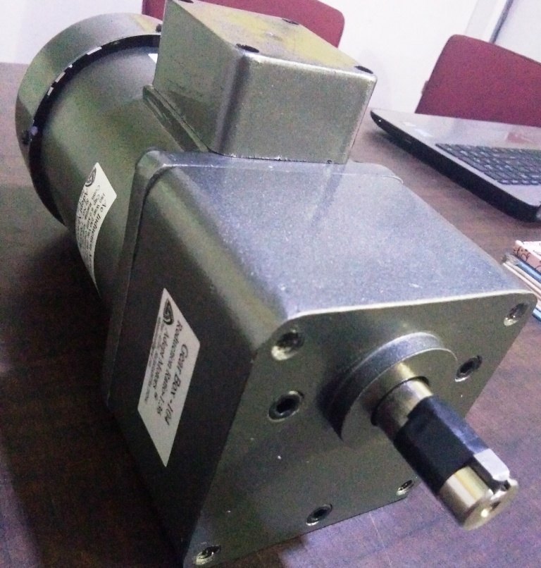 25 Watt Induction Gear Motor