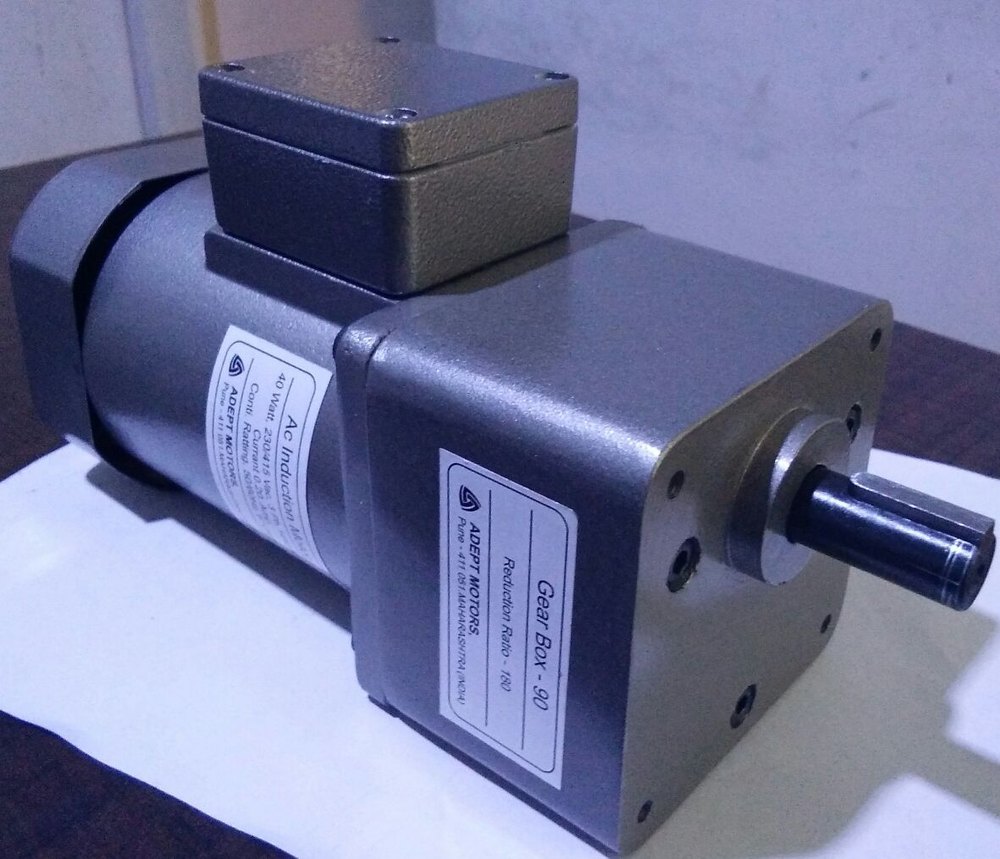 60 Watt Induction Motor